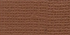 Bazzill Fourz - 12x12 - Cinnamon Stick