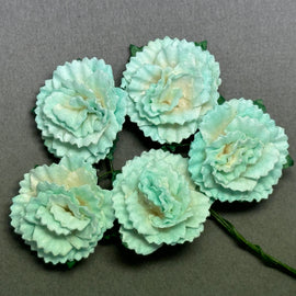 Carnations - 2 Tone Turquoise/White 25mm (5pk)
