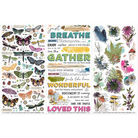 **Pre-Order** 49 and Market - Curiosities In Willow Grove - 6x12 "Essential" Rub-on Transfer Set (ETA Mid Oct 25)