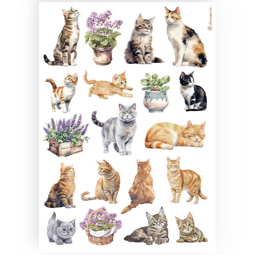 Stamperia - A4 Rice Paper "Cats"