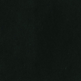 Bazzill - 12x12 - Licorice Twist