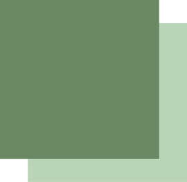 Uniquely Creative - Cardstock 250gsm - Pine