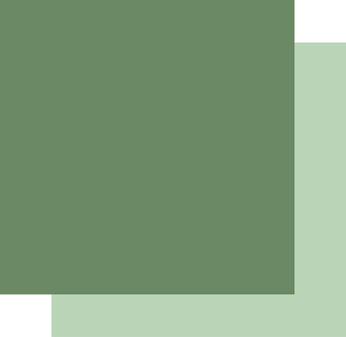 Uniquely Creative - Cardstock 250gsm - Pine