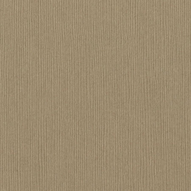 Bazzill Fourz - 12x12 - Quick Sand