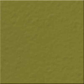 Bazzill Orange Peel - 12x12 - Celery