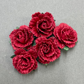 Carnations - Deep Red 25mm (5pk)