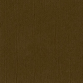 Bazzill Mono - 12x12 - Pinecone