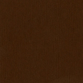 Bazzill Fourz - 12x12 - Mocha Devine