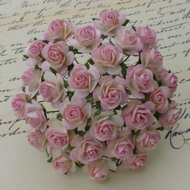 Open Roses - 2 Tone Baby Pink/Ivory