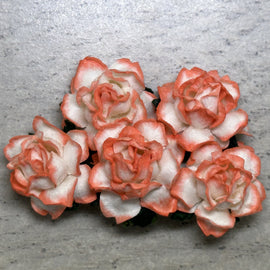 Cottage Roses - 2 Tone Orange/White 25mm (5pk)