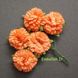 Carnations - Orange