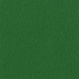 Bazzill Mono - 12x12 - Bazzill Green