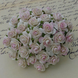 Open Roses - 2 Tone Ivory/Pale Pink