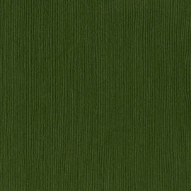 Bazzill Fourz - 12x12 - Rain Forest