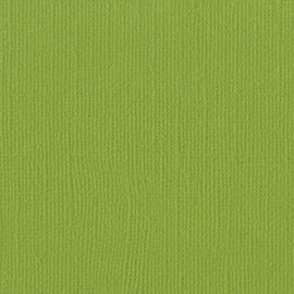 Bazzill Mono - 12x12 - Parakeet