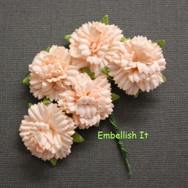 Carnations - Light Peach