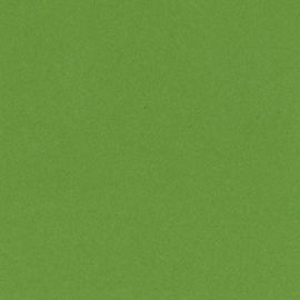 Bazzill Smoothies - 12x12 - Lime Crush