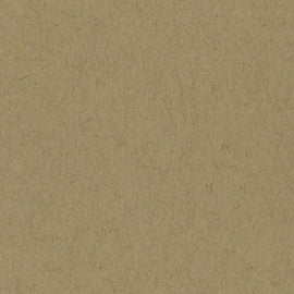 Bazzill Classic - 12x12 - Kraft