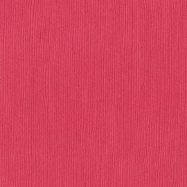 Bazzill Fourz - 12x12 - Passionate