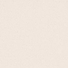 Bazzill Smoothies - 12x12 - Walnut Cream