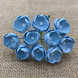 Buttercups - Baby Blue (10pk)