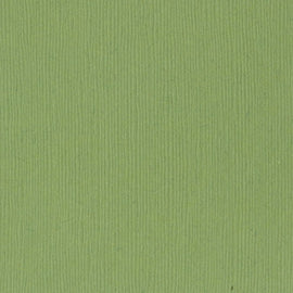 Bazzill Fourz - 12x12 - Lily Pond