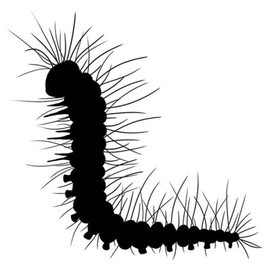 Lavinia Stamps - Mini Christopher Caterpillar (LAV504)