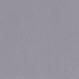 Bazzill Smoothies - 12x12 - Date Swirl