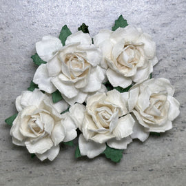 Cottage Roses - Ivory 25mm (5pk)