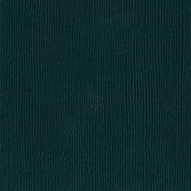 Bazzill Mono - 12x12 - Jade