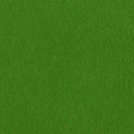 Bazzill Classic - 12x12 Yellow/Green