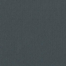 Bazzill Mono - 12x12 - Thunder