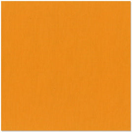 Bazzill Fourz - 12x12 - Navel