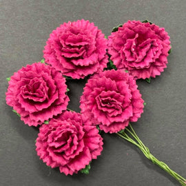 Carnations - Magenta 25MM (5pk)