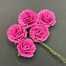 Carnations - Light Magenta 25mm (5pk)
