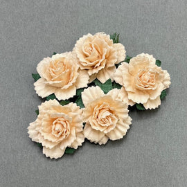 Carnations - Apricot 25mm (5pk)