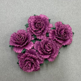 Carnations - Deep Fuchsia 25mm (5pk)