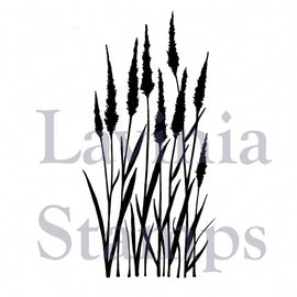 Lavinia Stamps - Meadow Grass (LAV387)