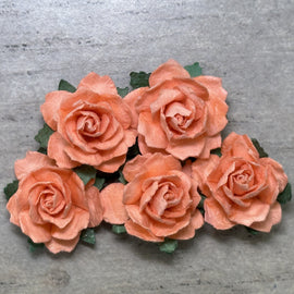Cottage Roses - Light Orange 25mm (5pk)