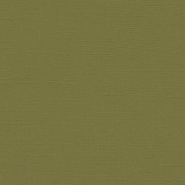 My Colors Cardstock - Canvas 12x12 - Grasshopper