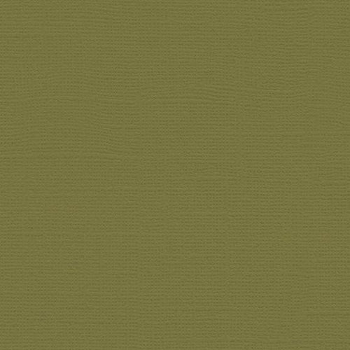 My Colors Cardstock - Canvas 12x12 - Grasshopper
