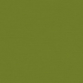My Colors Cardstock - Canvas 12x12 - Spanish Moss