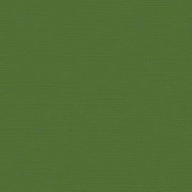 My Colors Cardstock - Canvas 12x12 - Desert Cactus