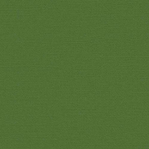 My Colors Cardstock - Canvas 12x12 - Desert Cactus