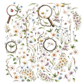 **Pre-Order** 49 and Market - The Looking Glass - Laser Cut Wildflowers (Ephemera) (ETA Beg April 26)