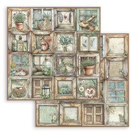Stamperia - Herbarium Silvae - 12x12 Paper "Frames"