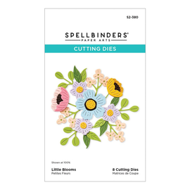Spellbinders - Out And About Collection - Little Blooms Etched Die Set (S2-380)