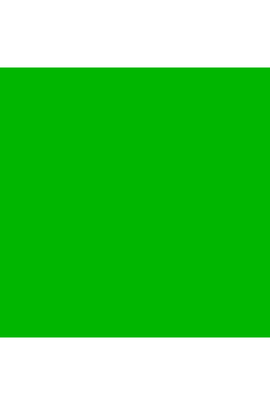 Kaskad - 225gsm Cardstock - A4 Card - Parakeet Green