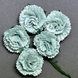 Carnations - Sage 25mm (5pk)