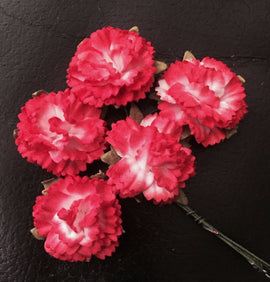Carnations - 2 Tone Red White